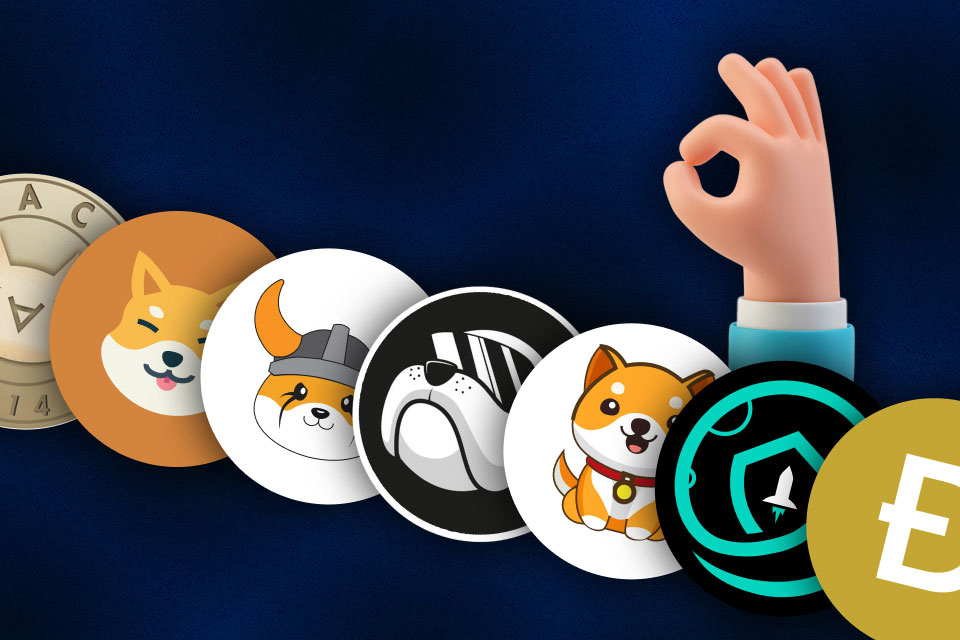 ۷ تا از بهترین میم کوین ها برای سرمایه گذاری در سال ۲۰۲۴