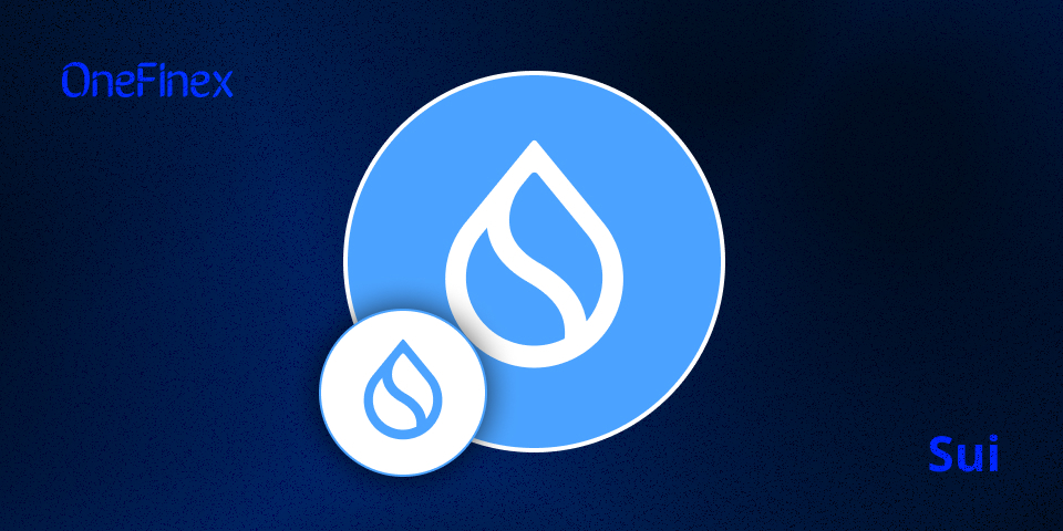 ارز دیجیتال سویی Sui: تحلیل بلاکچین، توکنومیکس و مزیتهای رقابتی